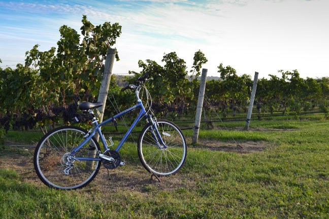 Photo of a bike in a Michigan vineyard