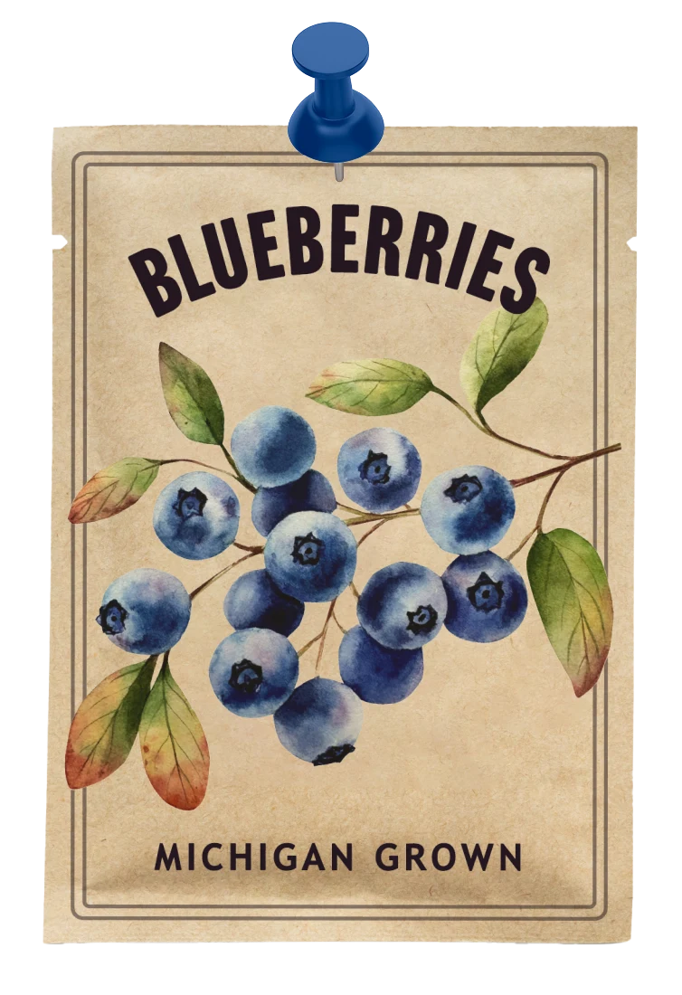 Blueberry seed packet that reads, Michigan grown.