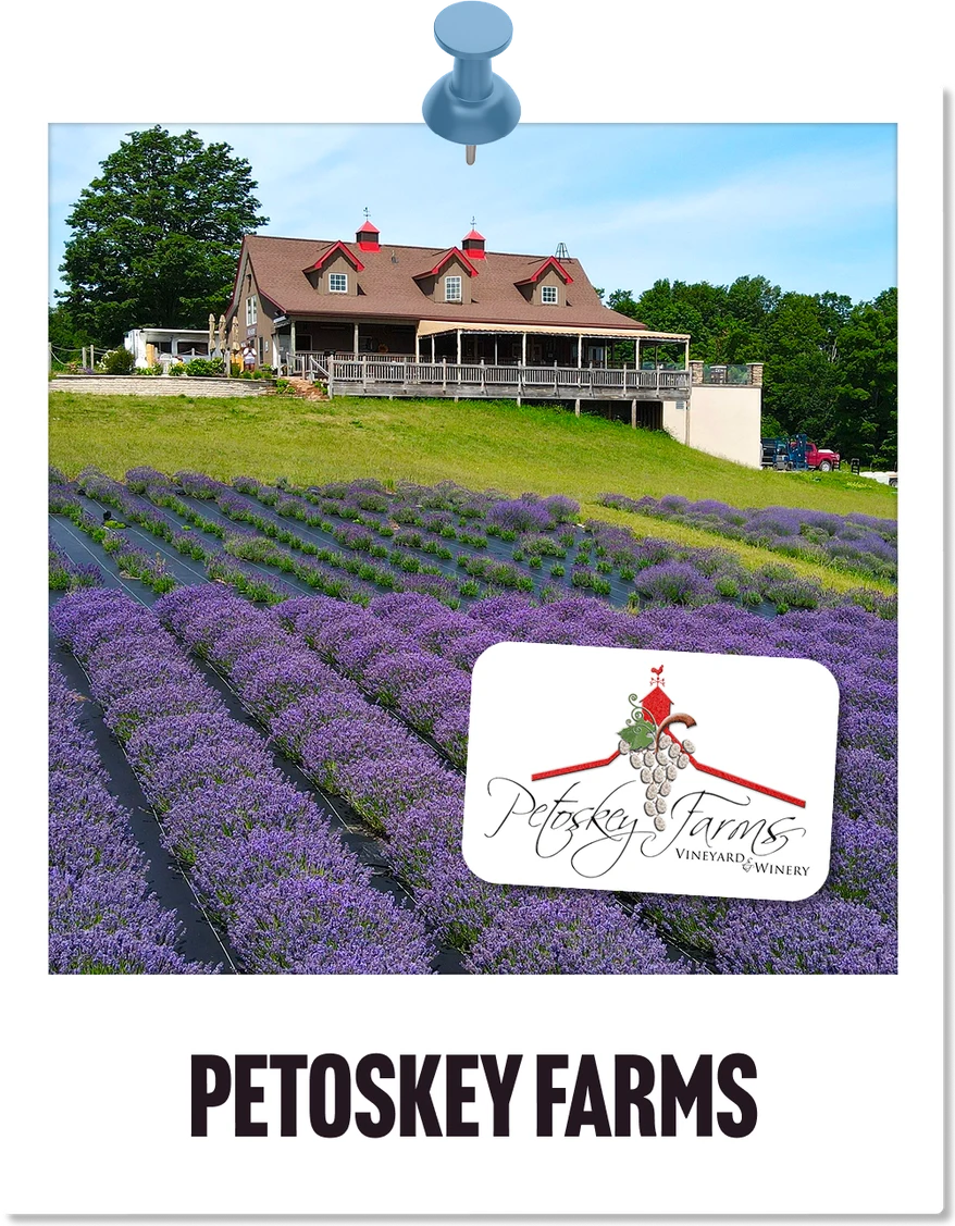 An image of the Petoskey Farms lavender farm.