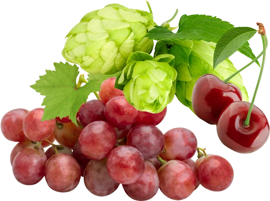 An image of grapes, hops, and cherries.