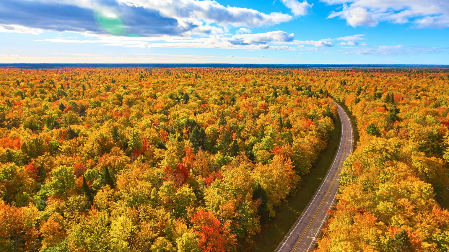 A road curving through fall-colored trees.