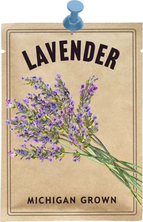 Lavender seed packet that reads, “Michigan grown.”