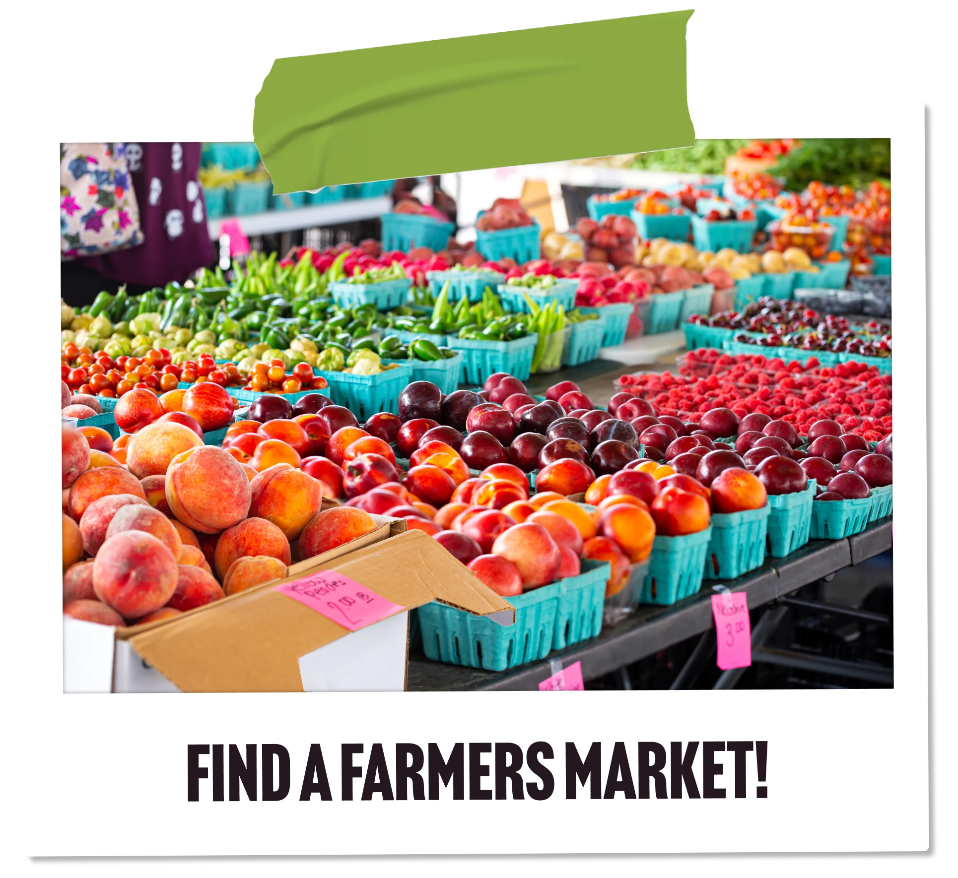 A photo of produce at a farmers market — Find a Farmers Market!