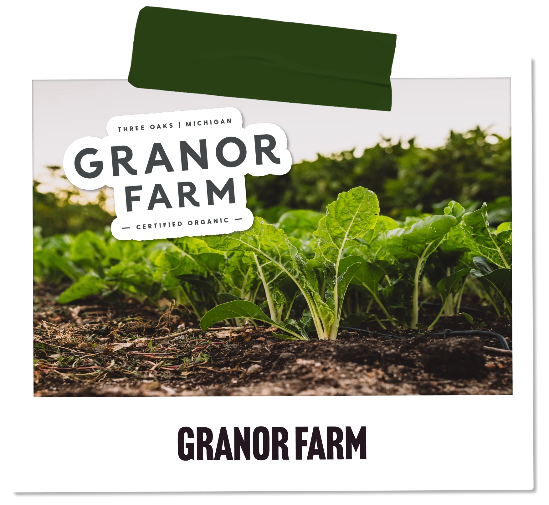 A photo of Granor Farm.