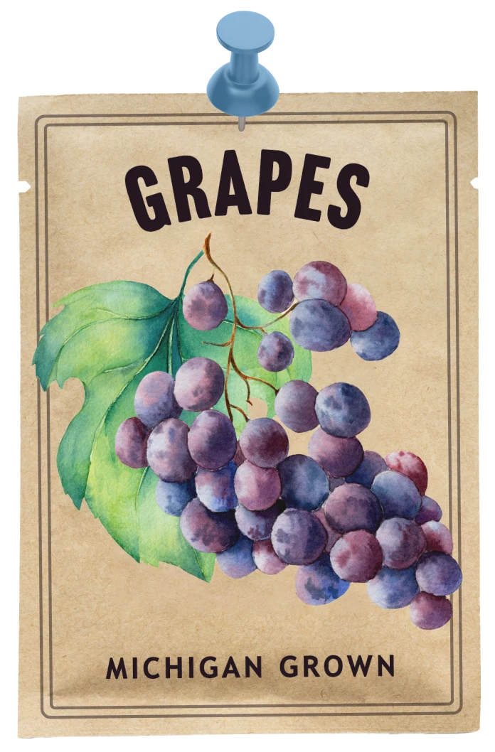 Grape seed packet that reads, Michigan grown.