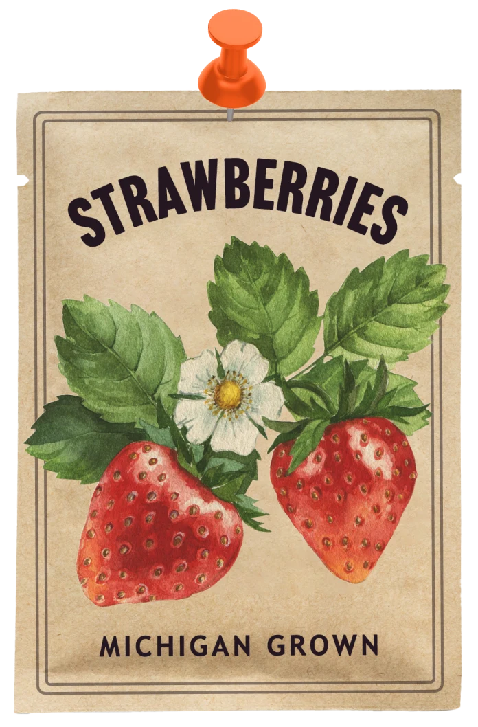 Strawberry seed packet that reads, Michigan grown.